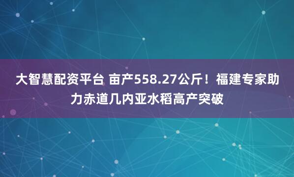 大智慧配资平台 亩产558.27公斤！福建专家助力赤道几内亚水稻高产突破